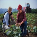 Agricultural & Farm Consultants