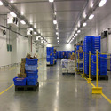 Cold Storage & Warehousing Services