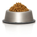 Pet Feed, Furniture & Products