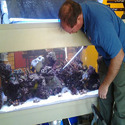 Aquarium Maintenance Service