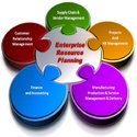 ERP Software Packages