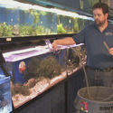 Fish Tank Cleaning Service
