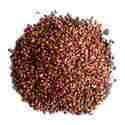 Karanja Seeds