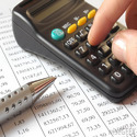 Statutory Financial Audit Service