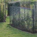 Architectural Fencing
