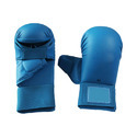 Karate Gloves