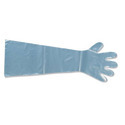 PE Gloves