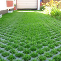 Plastic Grass Paver